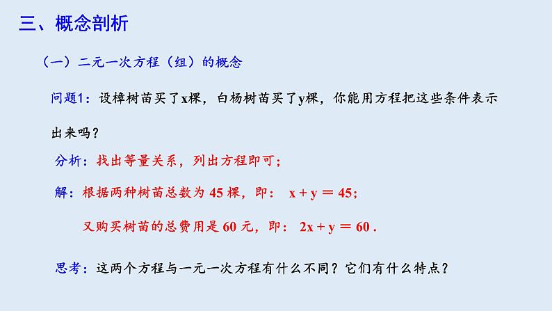 8.1 二元一次方程组 课件 2023-2024学年初中数学人教版七年级下册04