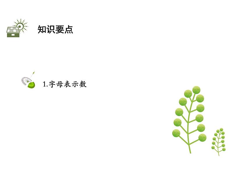 3.1 字母表示数 苏科版数学七年级上册教学课件02