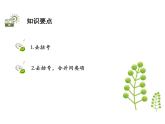 3.5 去括号 苏科版数学七年级上册教学课件