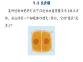 4.2 立方根 蘇科版八年級數(shù)學上冊課件