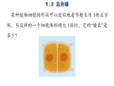 4.2 立方根 苏科版八年级数学上册课件