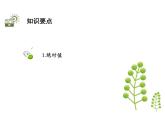 2.4.1 绝对值 苏科版七年级数学上册教学课件