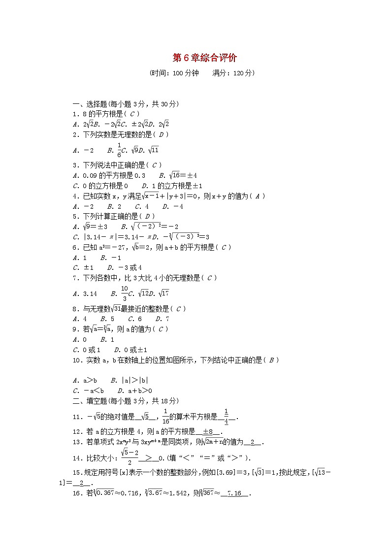 2024七年级数学下册第六章实数综合评价试题新版新人教版第1页
