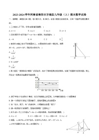 2023-2024学年河南省南阳市方城县九年级（上）期末数学试卷（含解析）