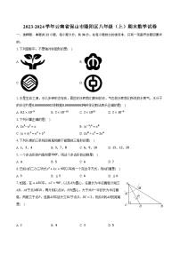 2023-2024学年云南省保山市隆阳区八年级（上）期末数学试卷（含解析）