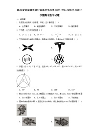 海南省省直辖县级行政单位屯昌县2023-2024学年九年级（上）学期期末数学试卷（含解析）