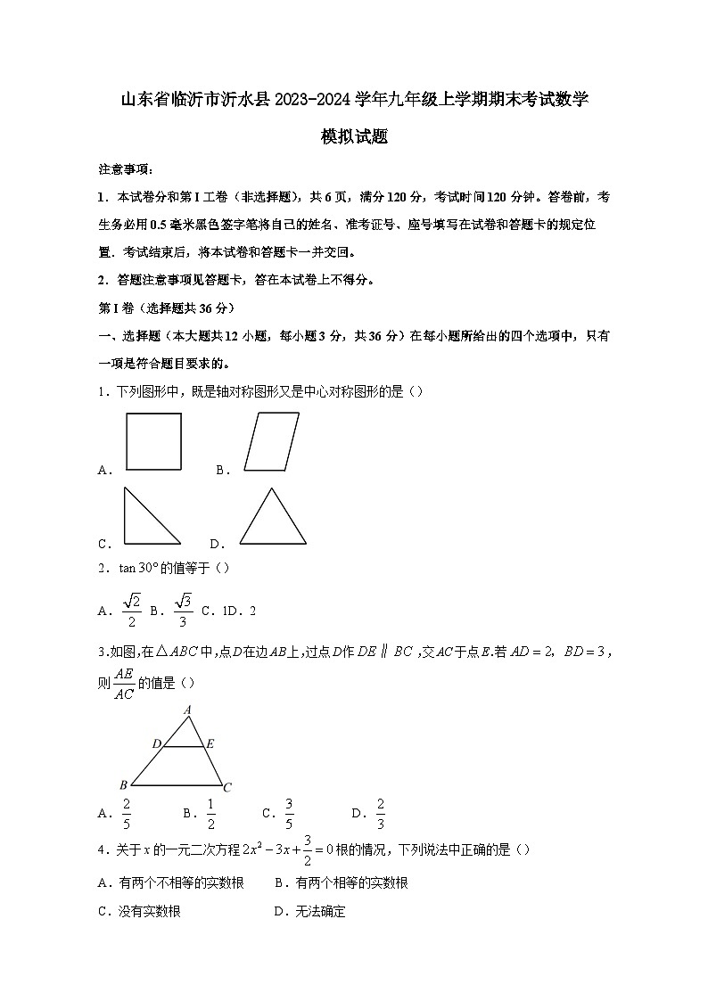 山东省临沂市沂水县2023-2024学年九年级上册期末考试数学模拟试题（附答案）01