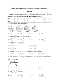 山东省泰安市泰山区2023-2024学年八年级上册期末数学模拟试题（附答案）