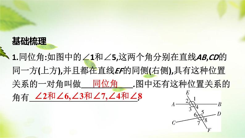 5.1相交线第3课时++++同位角、内错角、同旁内角课件2023-2024学年人教版七年级数学下册++03