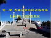 1.6+利用三角函数测高+课件+2023—2024学年北师大版数学九年级下册
