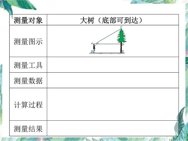 1.6++利用三角函数测高+优质课件+++2023-2024学年北师大版九年级数学下册+05