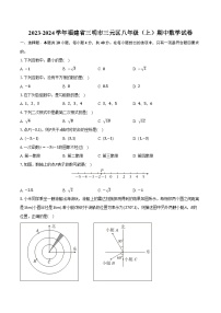 2023-2024学年福建省三明市三元区八年级（上）期中数学试卷（含解析）