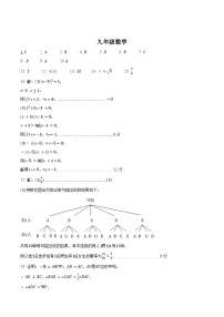 +河南省平顶山市郏县2023-2024学年九年级上学期期末学情检测数学试题