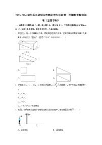 2023-2024学年山东省烟台市海阳市九年级（上）期末数学试卷（五四学制）（含解析）