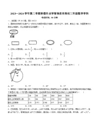 广东省深圳市宝安中学（集团）初中部2023-2024学年九年级下学期开学考数学试题()