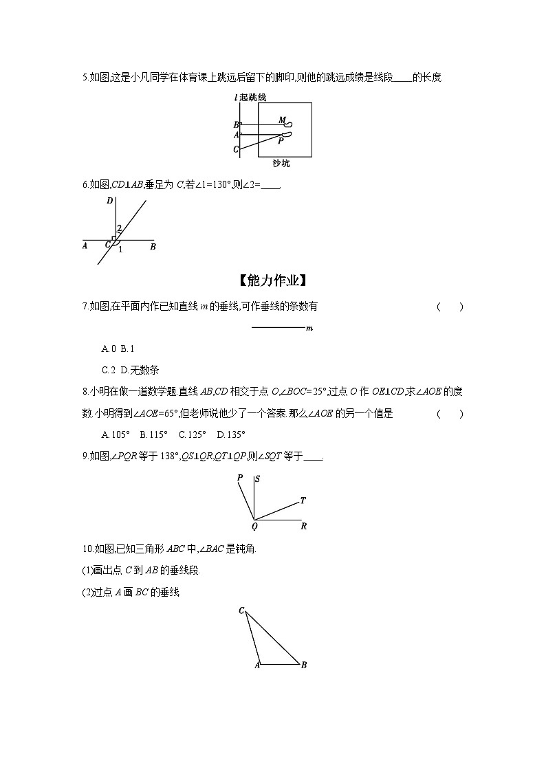 人教版七年级数学下册课时作业 5.1.2 垂线02