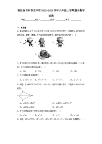 浙江省台州市玉环市2023-2024学年八年级上学期期末数学试题(含答案)