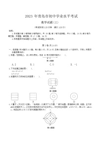 2023年山东省青岛市初中学业水平考试九年级数学试题(三)（含答案）