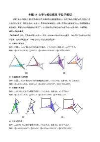 专题15 全等与相似模型-手拉手模型-备战2024年中考数学常见模型题型归纳与总结高分突破（全国通用）