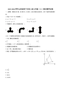 2023-2024学年山东省济宁市汶上县九年级（上）期末数学试卷（含解析）