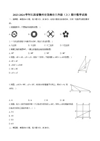 2023-2024学年江西省赣州市龙南市八年级（上）期中数学试卷（含解析）