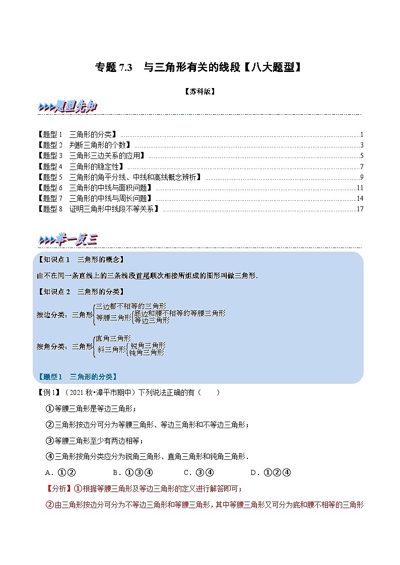 专题7.3 与三角形有关的线段【八大题型】-2022-2023学年七年级数学下册举一反三系列（苏科版）01