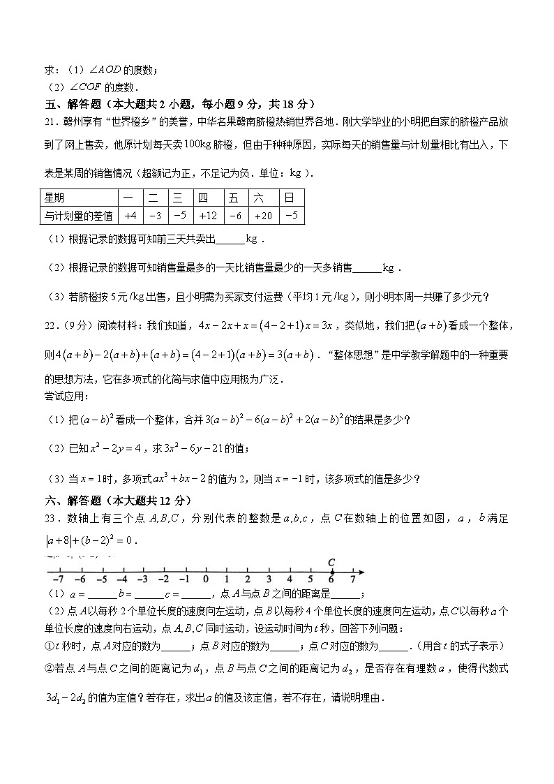 江西省赣州市大余县2023-2024学年七年级上学期期末数学试题03