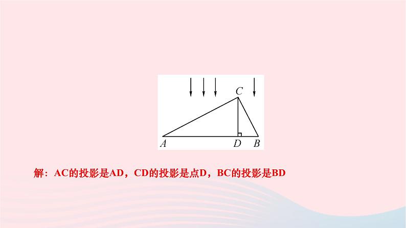 2024九年级数学下册第25章投影与视图25.1投影第2课时正投影作业课件新版沪科版第5页