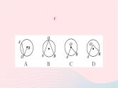 2024九年级数学下册第27章圆27.1圆的认识27.1.1圆的基本元素作业课件新版华东师大版