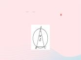 2024九年级数学下册第27章圆27.1圆的认识27.1.2圆的对称性第1课时圆心角弧弦之间的关系作业课件新版华东师大版
