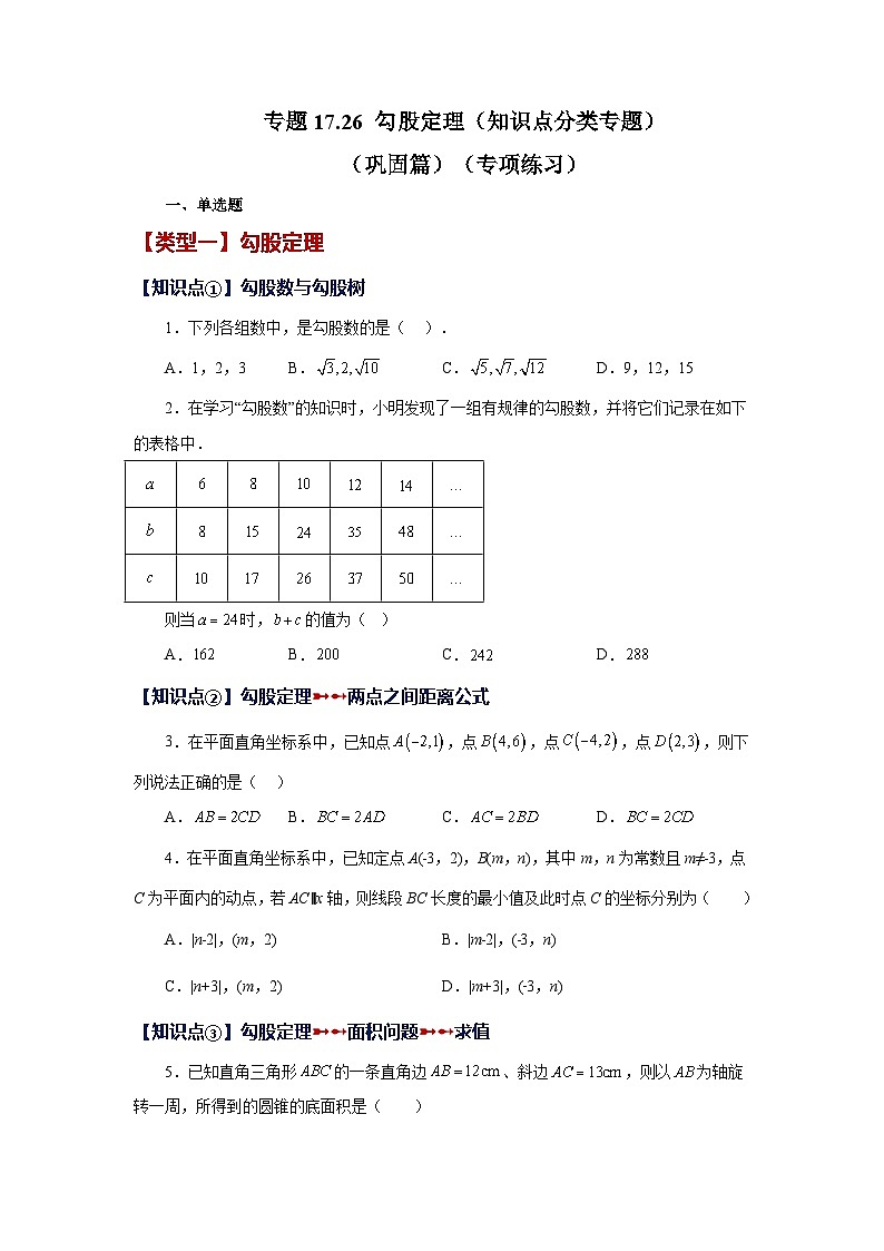 人教版八年级数学下册基础知识专项讲练 专题17.26 勾股定理（知识点分类专题）（巩固篇）（专项练习）01