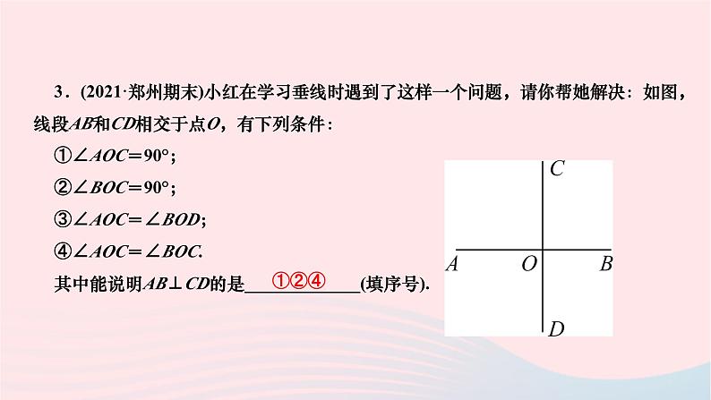 2024七年级数学下册第五章相交线与平行线5.1相交线5.1.2垂线作业课件新版新人教版第4页