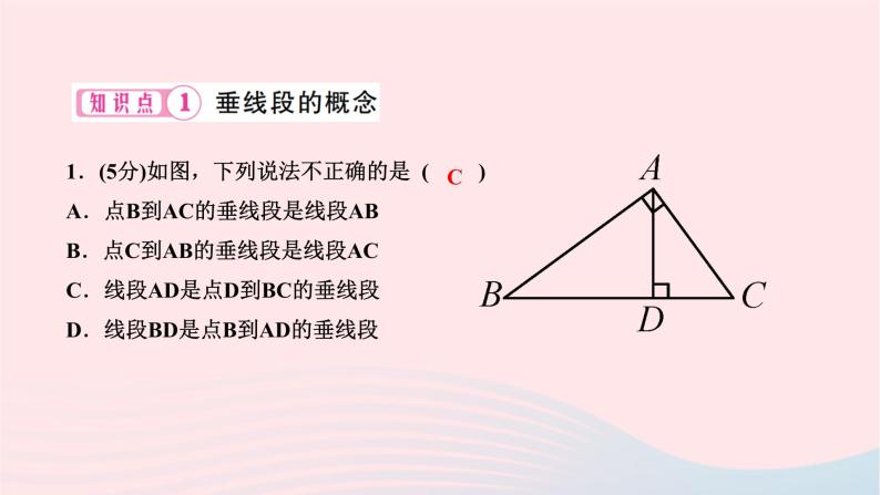 2024七年级数学下册第五章相交线与平行线5.1相交线5.1.2垂线第二课时垂线段及点到直线的距离作业课件新版新人教版03