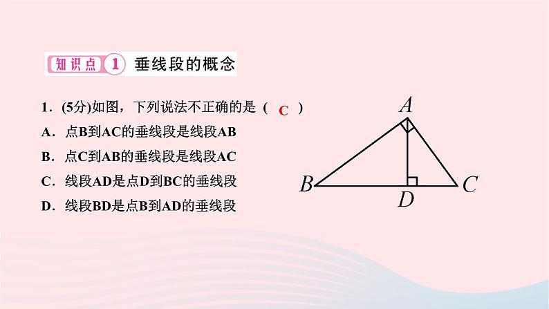 2024七年级数学下册第五章相交线与平行线5.1相交线5.1.2垂线第二课时垂线段及点到直线的距离作业课件新版新人教版第3页