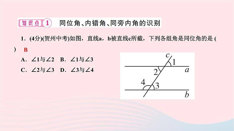 2024七年级数学下册第五章相交线与平行线5.1相交线5.1.3同位角内错角同旁内角作业课件新版新人教版第3页