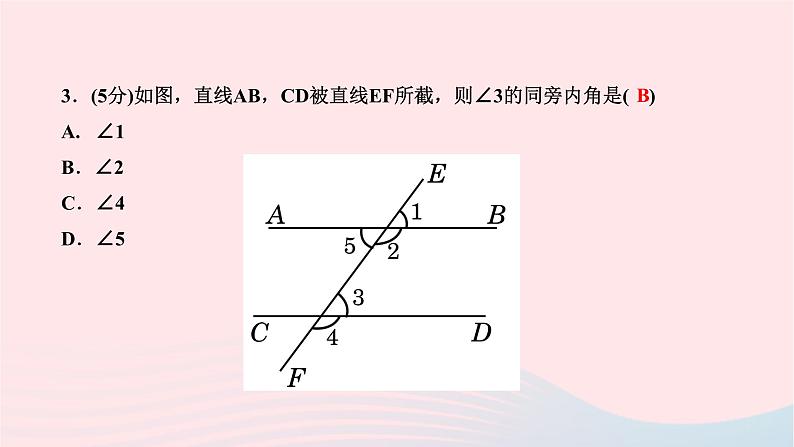 2024七年级数学下册第五章相交线与平行线5.1相交线5.1.3同位角内错角同旁内角作业课件新版新人教版第5页