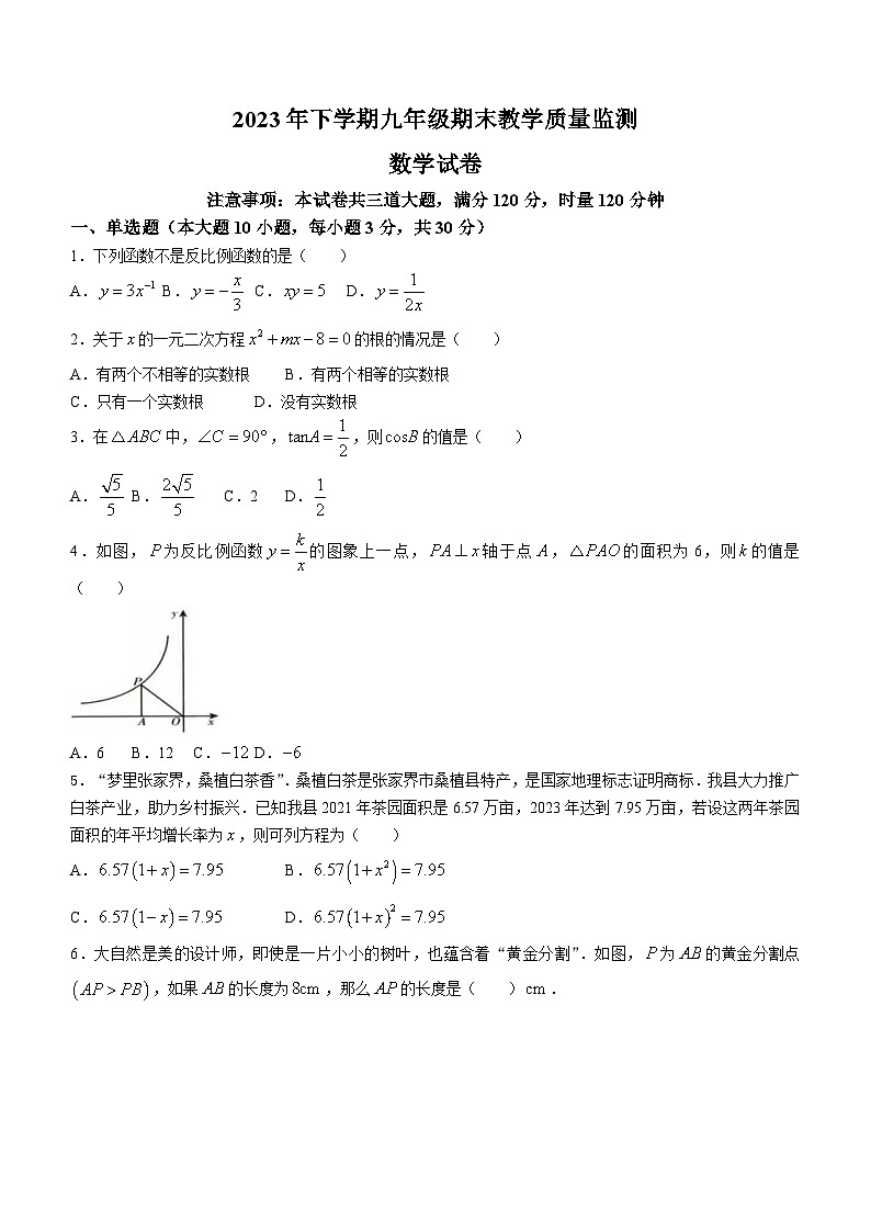 湖南省张家界市桑植县2023-2024学年九年级上学期期末数学试题（含答案）第1页