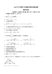 湖南省张家界市桑植县2023-2024学年八年级上学期期末数学试题(含答案)