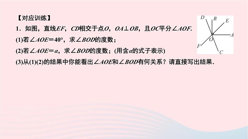 2024七年级数学下册第五章相交线与平行线专题课堂作业课件新版新人教版第3页