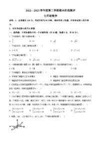 广东省湛江市第二十九中学2022-2023学年七年级下学期期末数学试题（原卷+解析）