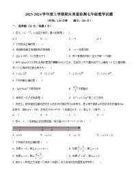 山东省日照市东港区日照高新区中学2023-2024学年七年级上学期期末数学试题（原卷+解析）