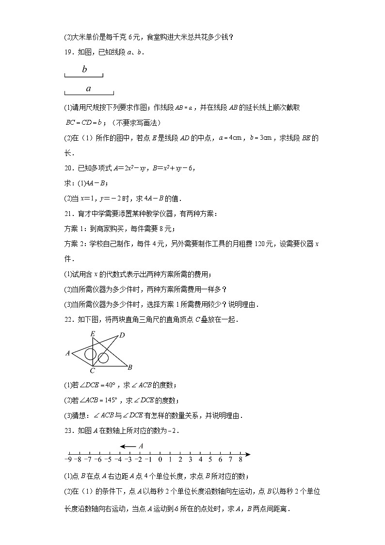 广东省湛江市第二十九中学2023-2024学年七年级上学期期末数学试题03