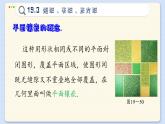 沪科数学8年级下册 19.4   综合与实践  PPT课件