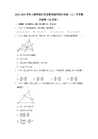 2022-2023学年上海市徐汇区位育实验学校九年级（上）月考数学试卷（10月份）