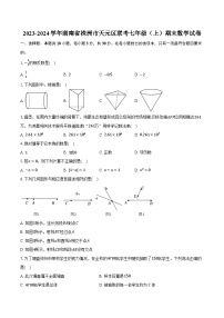 2023-2024学年湖南省株洲市天元区联考七年级（上）期末数学试卷（含解析）