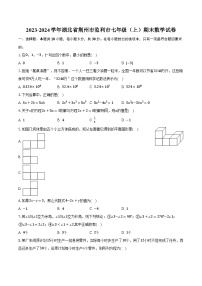 2023-2024学年湖北省荆州市监利市七年级（上）期末数学试卷（含解析）