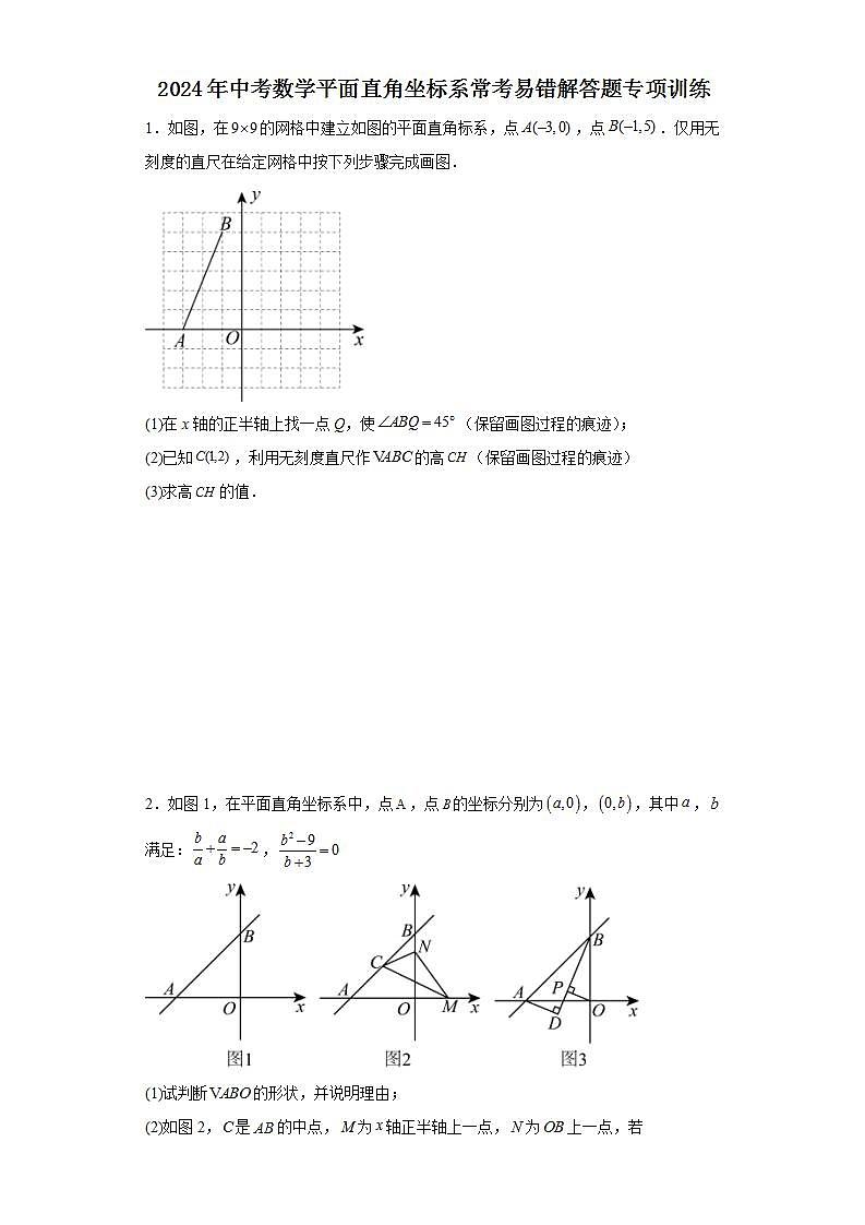 2024年中考数学平面直角坐标系常考易错解答题专项训练第1页