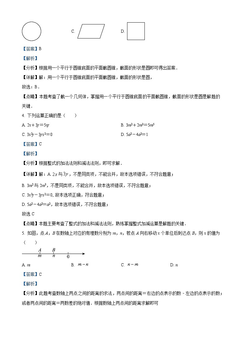 22，广东省深圳市龙岗区启英学校2023-2024学年七年级上学期期中数学试题02