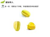 5.3 展开与折叠 苏科版数学七年级上册教学课件