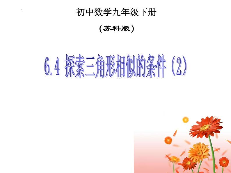 6.4 探索三角形相似的条件（2）苏科版数学九年级下册课件02